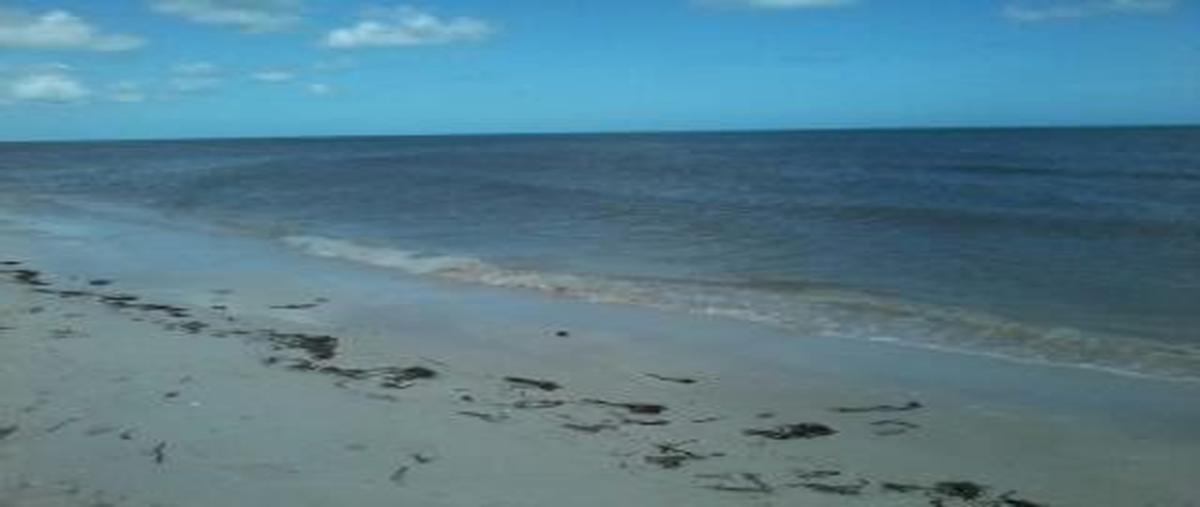 Foto de terreno habitacional en venta en kilometro 76 carretera santa clara a dzilam de bravo , dzilam de bravo, dzilam de bravo, yucatán, 26130951 No. 04