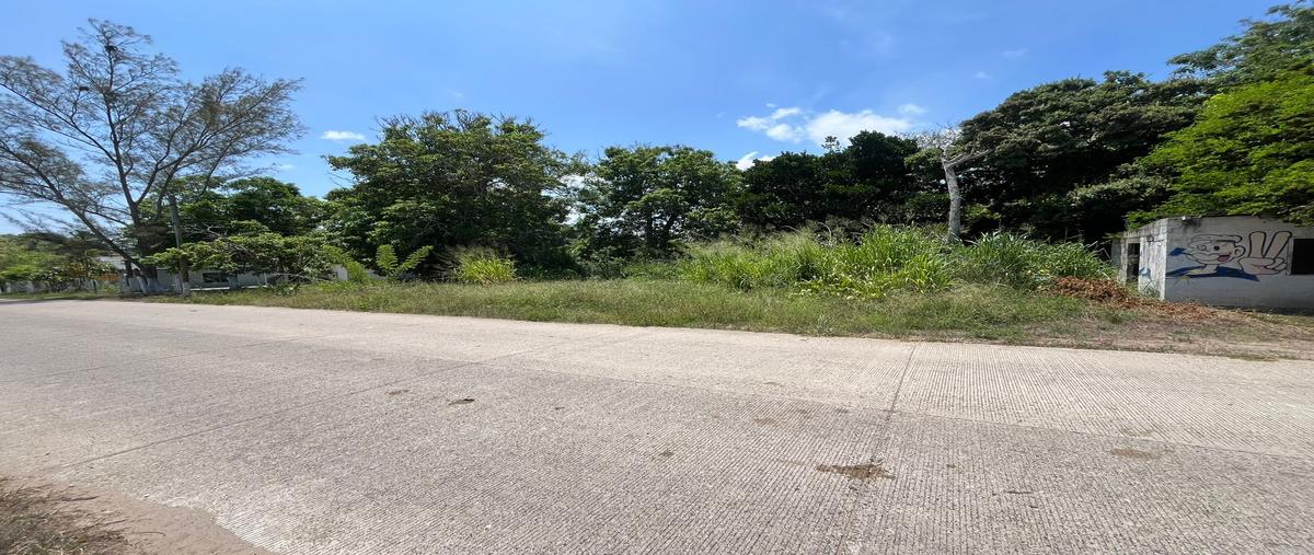 Foto de terreno habitacional en venta en kilometro 79 , garrapatas, tampico alto, veracruz de ignacio de la llave, 30357181 No. 04