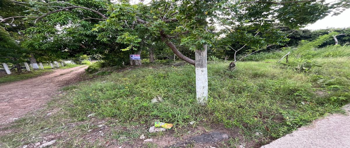 Foto de terreno habitacional en venta en kilometro 79 , garrapatas, tampico alto, veracruz de ignacio de la llave, 30357181 No. 05