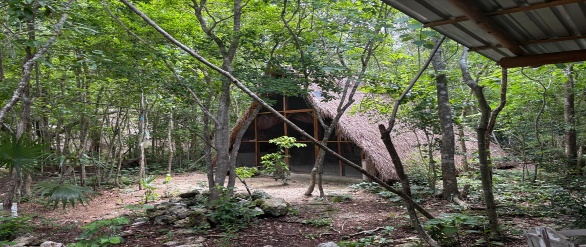 Foto de terreno habitacional en venta en kilometro 8 , coba, tulum, quintana roo, 30561966 No. 03