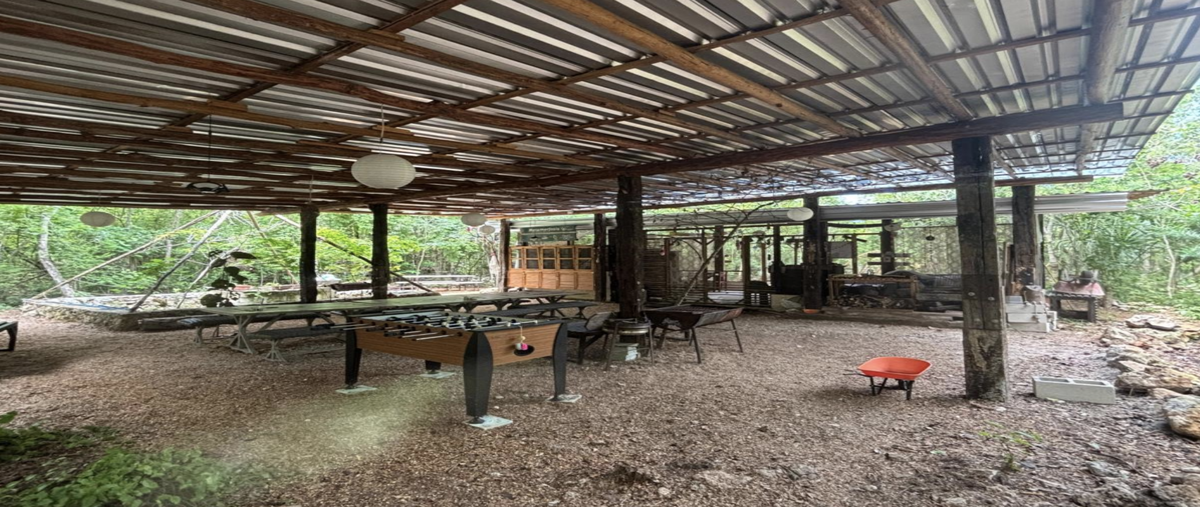 Foto de terreno habitacional en venta en kilometro 8 , coba, tulum, quintana roo, 30561966 No. 05