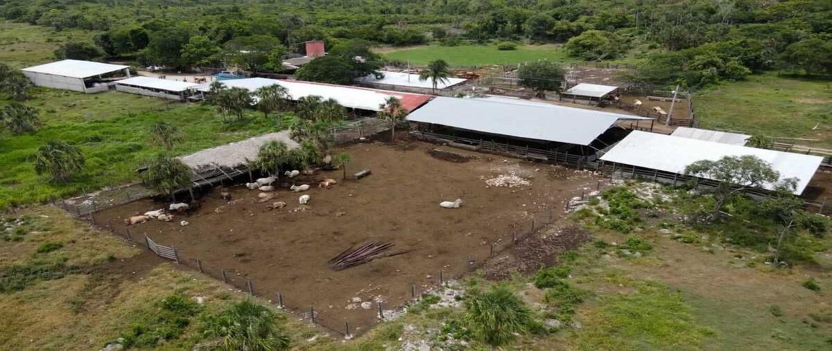 Foto de rancho en kilometro 8 , sucila, sucilá, yucatán, 21583921 foto 01 Foto de rancho en venta en kilometro 8 , sucila, sucilá, yucatán, 21583921 No. 01