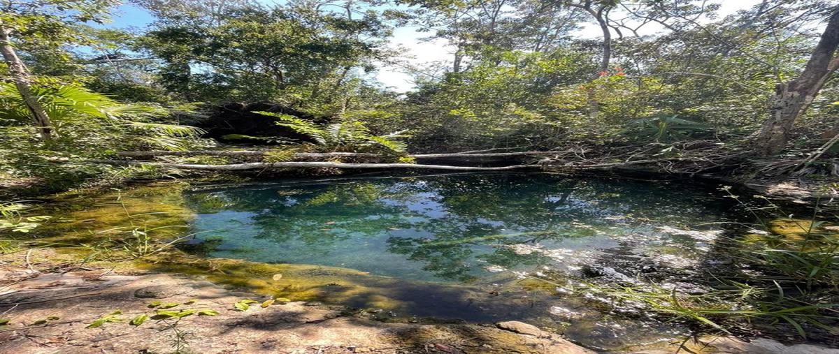 Foto de terreno habitacional en venta en kilometro 8 , tulum centro, tulum, quintana roo, 23716845 No. 02