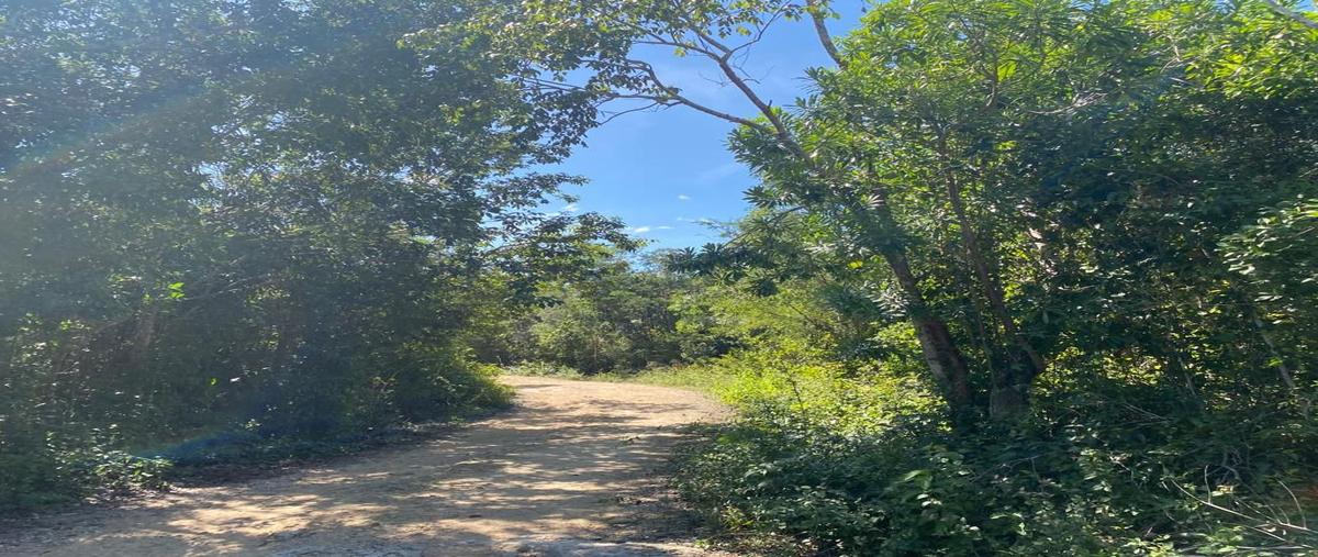 Foto de terreno habitacional en venta en kilometro 8 , tulum centro, tulum, quintana roo, 23716845 No. 04
