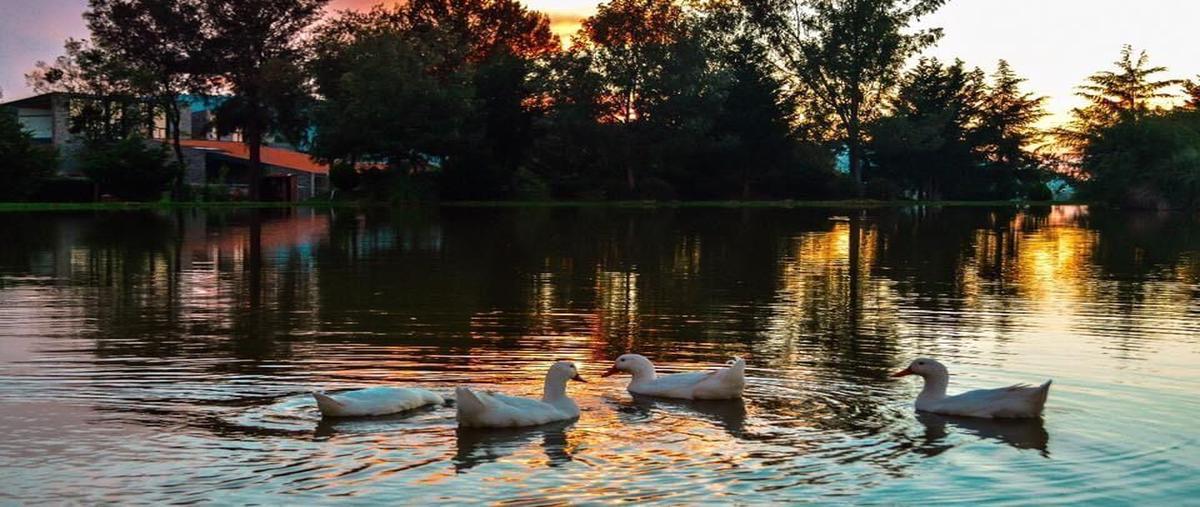 Foto de terreno habitacional en venta en kilometro , atemajac de brizuela, atemajac de brizuela, jalisco, 29876378 No. 05