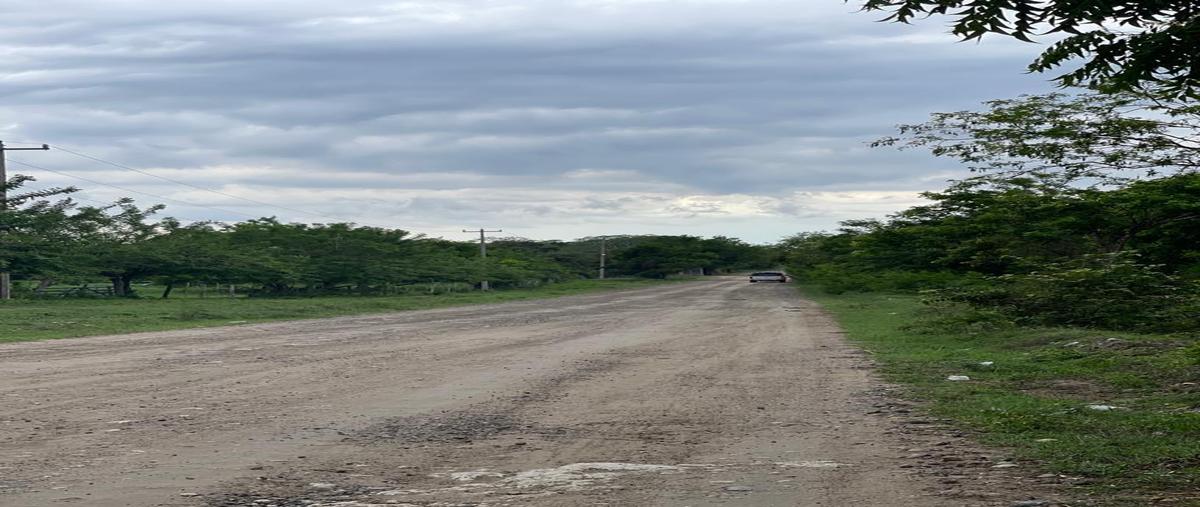 Foto de terreno habitacional en venta en  , kilómetro cien, tampico alto, veracruz de ignacio de la llave, 0 No. 05
