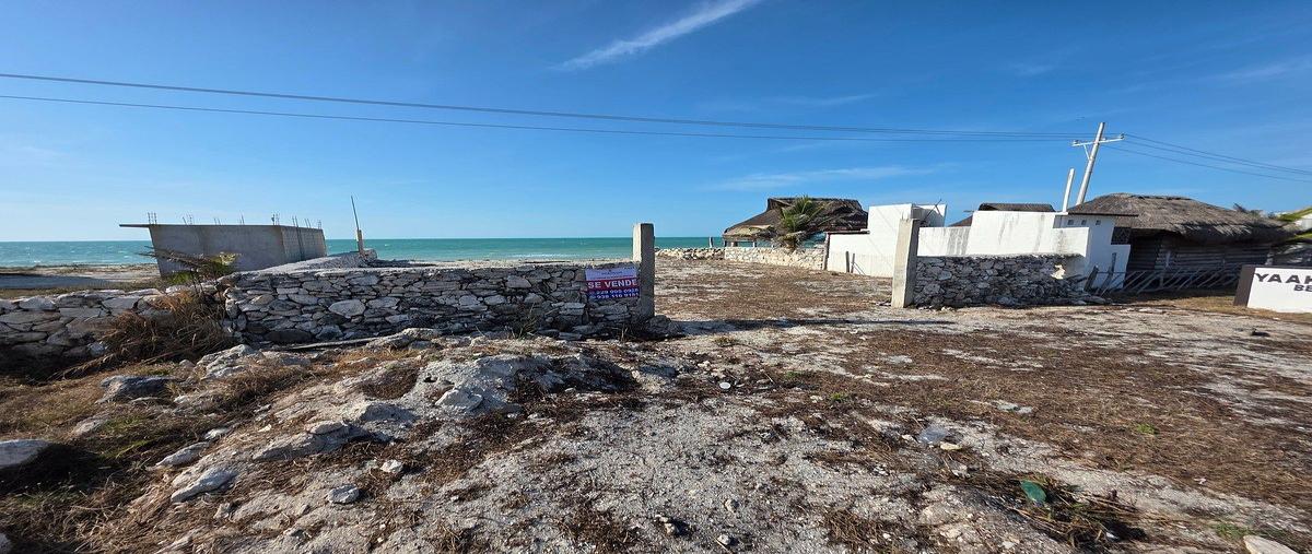 Foto de terreno habitacional en venta en kilometro , puerto real, carmen, campeche, 0 No. 04