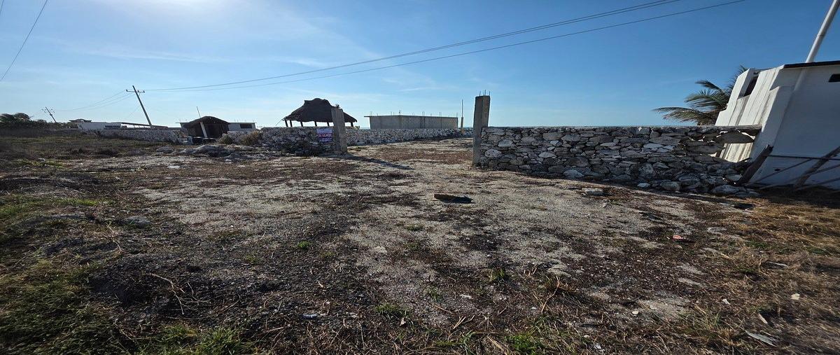 Foto de terreno habitacional en venta en kilometro , puerto real, carmen, campeche, 31094762 No. 05