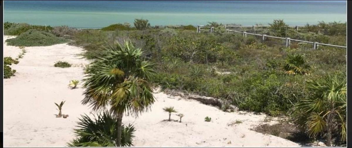 Foto de terreno habitacional en kilometro , xtampu, telchac puerto, yucatán, 27965432 foto 01 Foto de terreno habitacional en venta en kilometro , xtampu, telchac puerto, yucatán, 27965432 No. 01