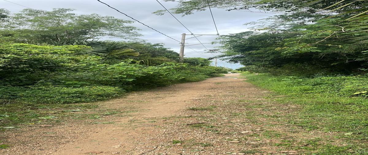 Foto de terreno habitacional en , kimbila, izamal, yucatán, 0 foto 03 Foto de terreno habitacional en venta en , kimbila, izamal, yucatán, 0 No. 03