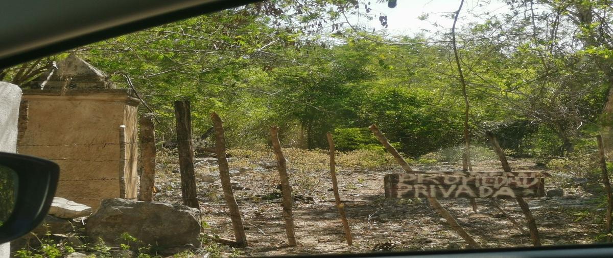 Foto de terreno habitacional en venta en  , kinchil, kinchil, yucatán, 28290057 No. 04