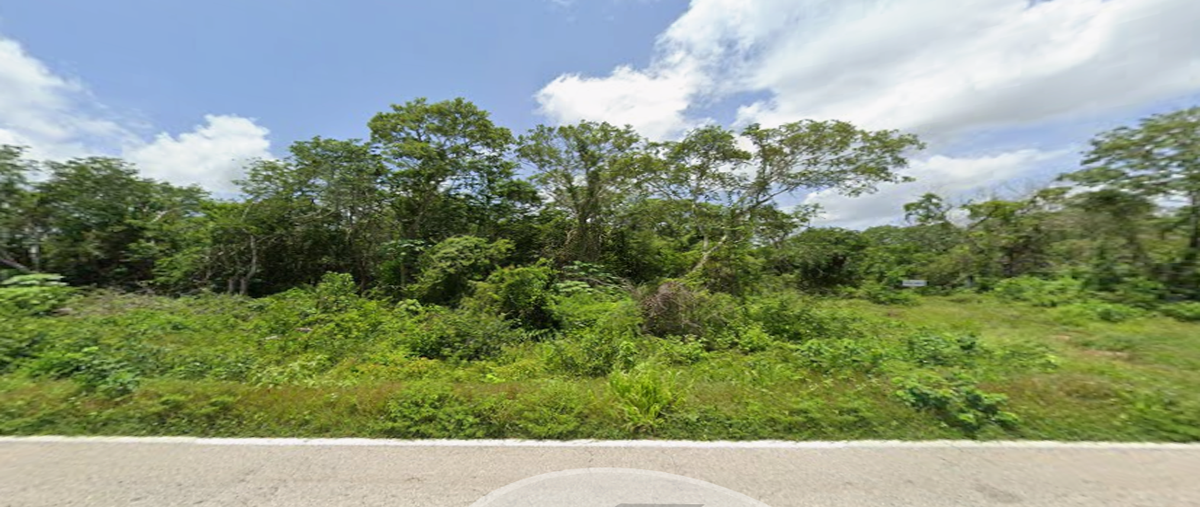 Foto de terreno habitacional en , kinchil, kinchil, yucatán, 0 foto 06 Foto de terreno habitacional en venta en , kinchil, kinchil, yucatán, 0 No. 06