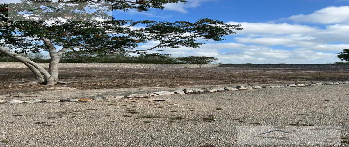 Foto de terreno habitacional en venta en  , kini, motul, yucatán, 27251821 No. 04