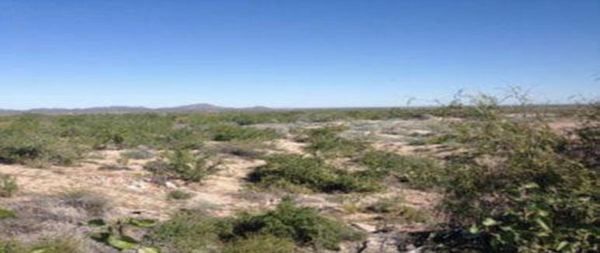 Foto de terreno habitacional en venta en  , kino nuevo, hermosillo, sonora, 0 No. 03