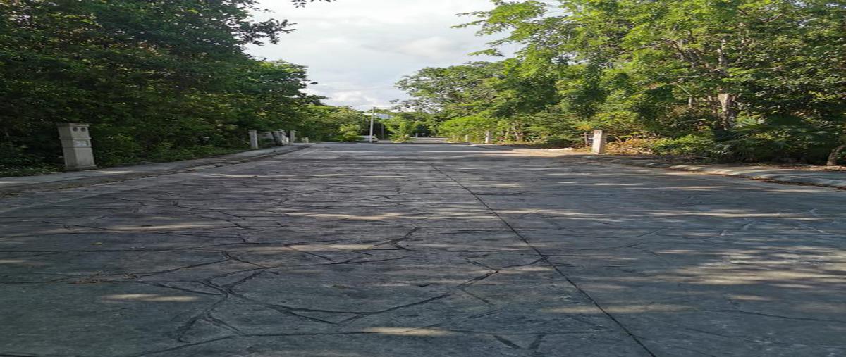 Foto de terreno habitacional en venta en  , k.m 309, benito juárez, quintana roo, 0 No. 03