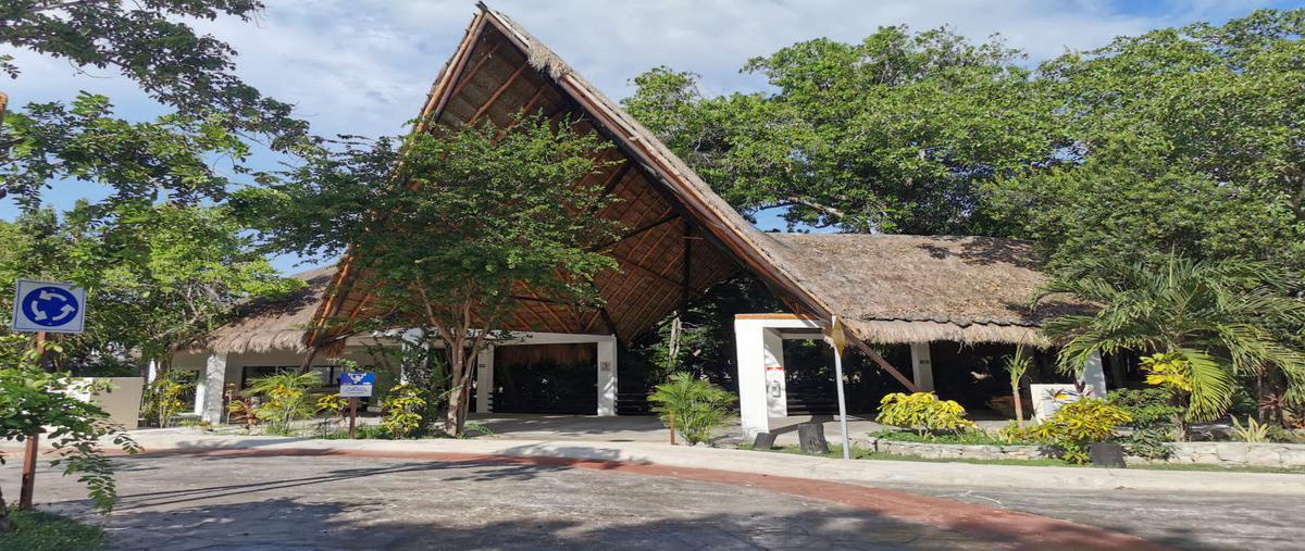 Foto de terreno habitacional en venta en  , k.m 309, benito juárez, quintana roo, 0 No. 05