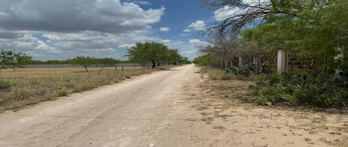 Foto de terreno habitacional en venta en km190 , san valentín, reynosa, tamaulipas, 31718852 No. 03
