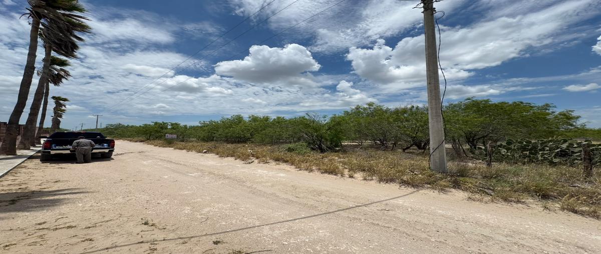 Foto de terreno habitacional en venta en km190 , san valentín, reynosa, tamaulipas, 31718852 No. 04