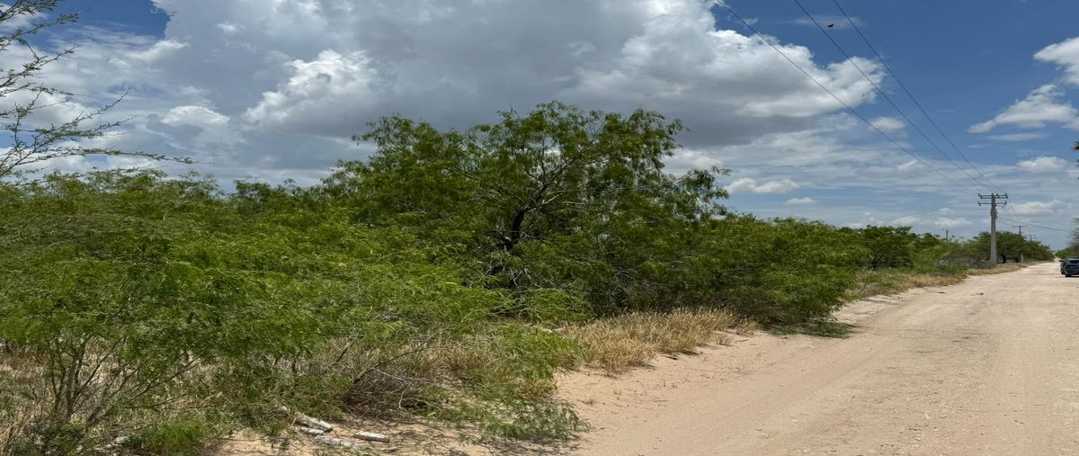 Foto de terreno habitacional en venta en km190 , san valentín, reynosa, tamaulipas, 31718852 No. 05