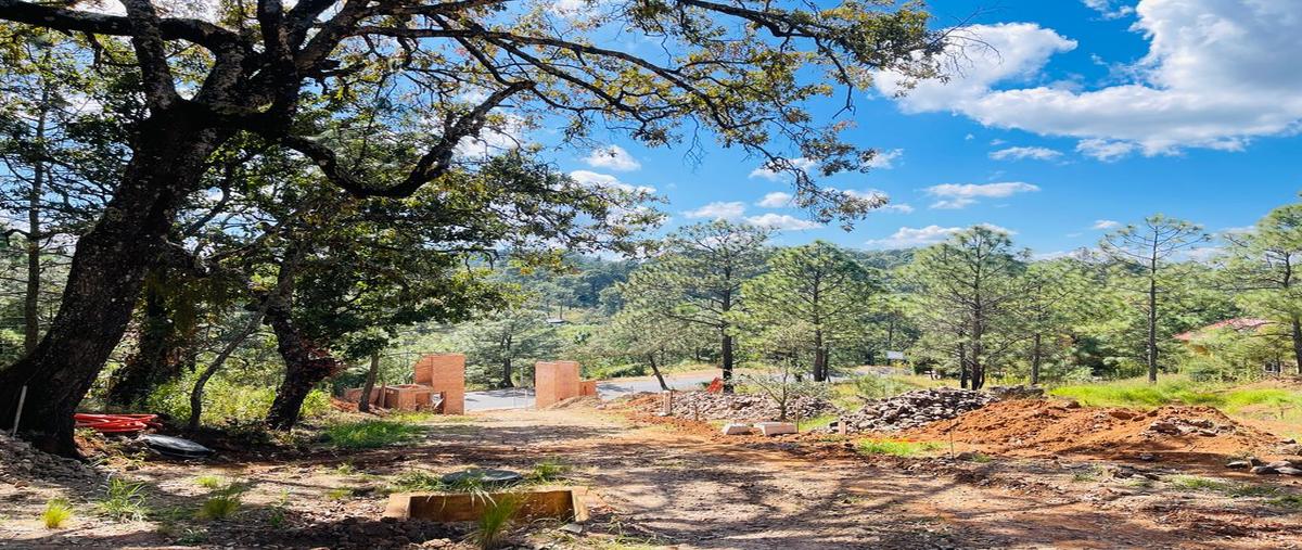 Foto de terreno habitacional en venta en km39 , mazamitla, mazamitla, jalisco, 27441129 No. 02