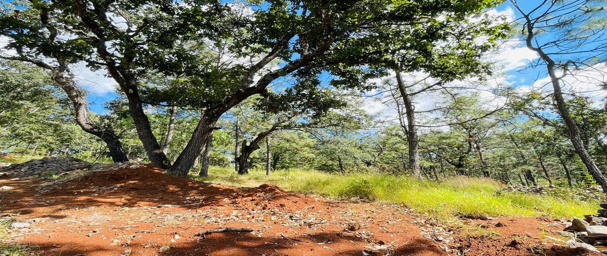 Foto de terreno habitacional en venta en km39 , mazamitla, mazamitla, jalisco, 27441129 No. 05