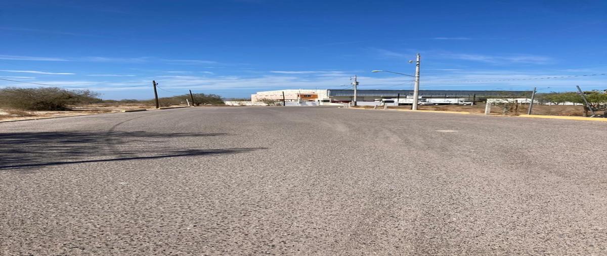 Foto de bodega en renta en km9 de la carretera transpeninsular , chametla, la paz, baja california sur, 0 No. 03