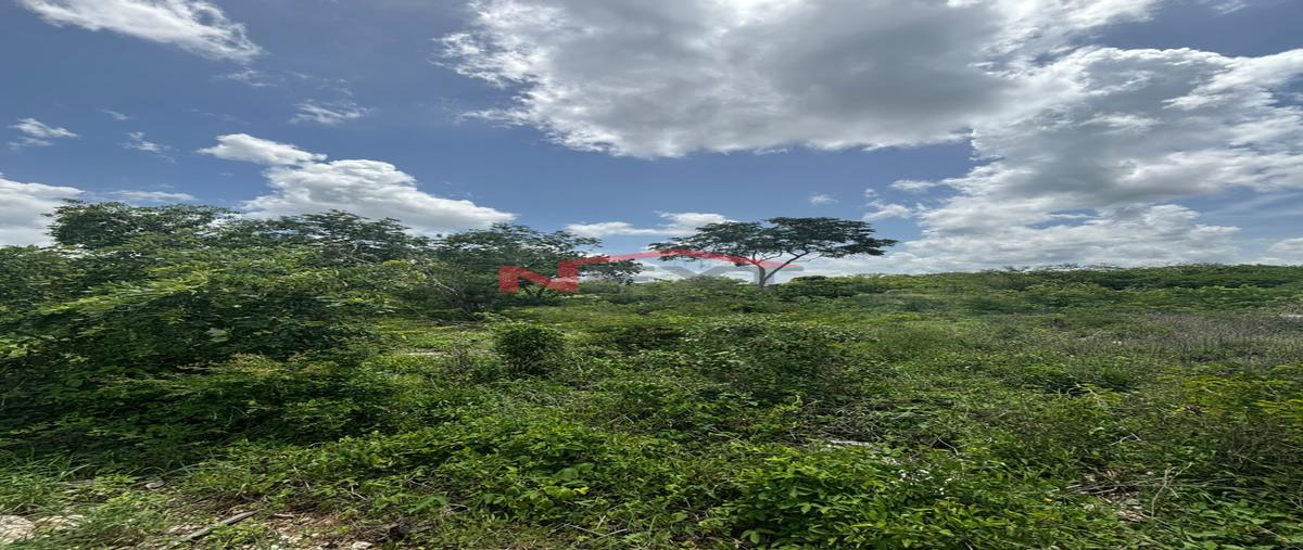 Foto de terreno habitacional en venta en komchén 0, komchén (santuario), mérida, yucatán, 0 No. 03
