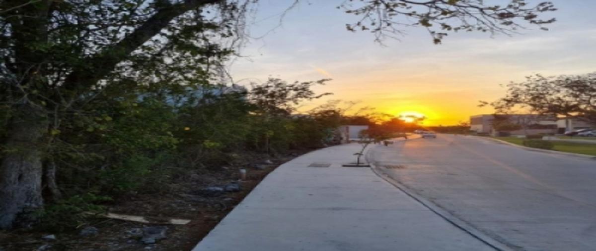 Foto de terreno industrial en venta en komchen , komchen, mérida, yucatán, 25482412 No. 04