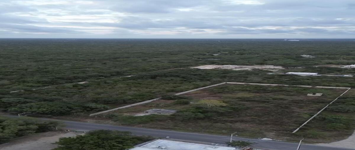Foto de terreno habitacional en venta en komchen , komchen, mérida, yucatán, 30294214 No. 04