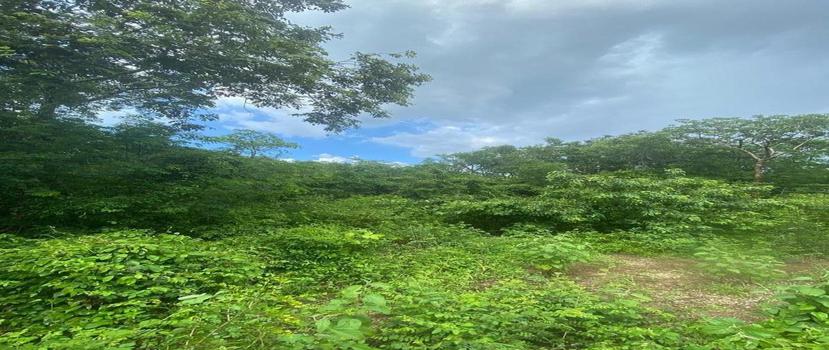 Foto de terreno habitacional en venta en komchen , komchen, mérida, yucatán, 0 No. 03