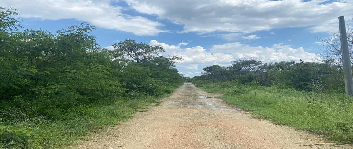 Foto de terreno habitacional en venta en komchen , komchen, mérida, yucatán, 0 No. 04