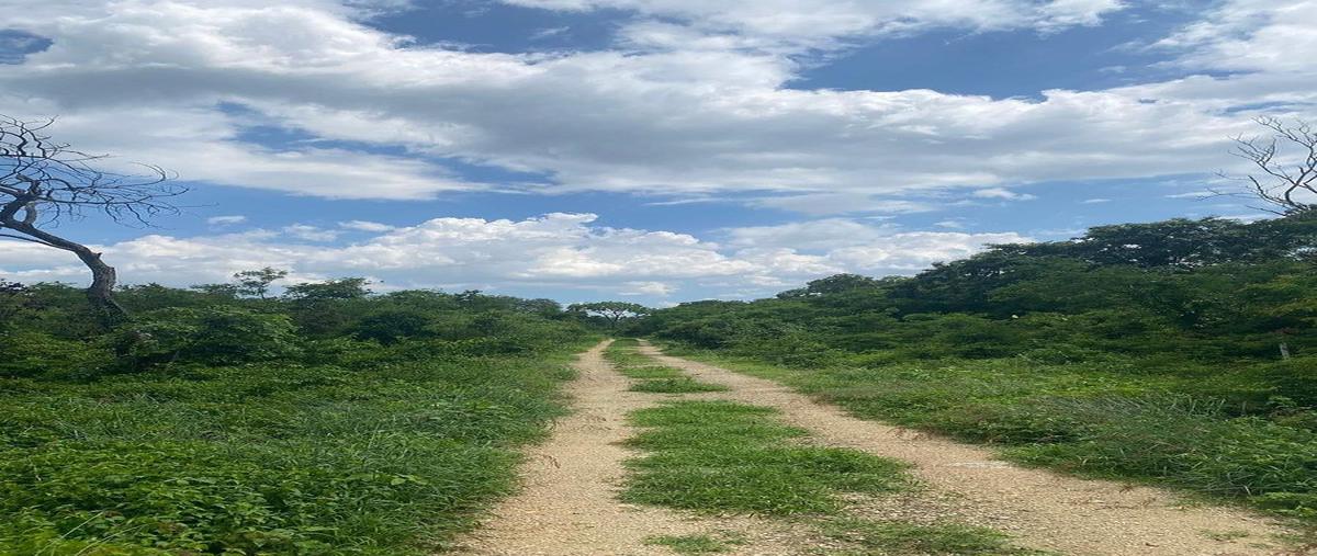 Foto de terreno habitacional en venta en komchen , komchen, mérida, yucatán, 0 No. 05