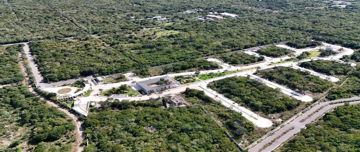 Foto de terreno habitacional en venta en  , komchén martínez, motul, yucatán, 24517722 No. 03