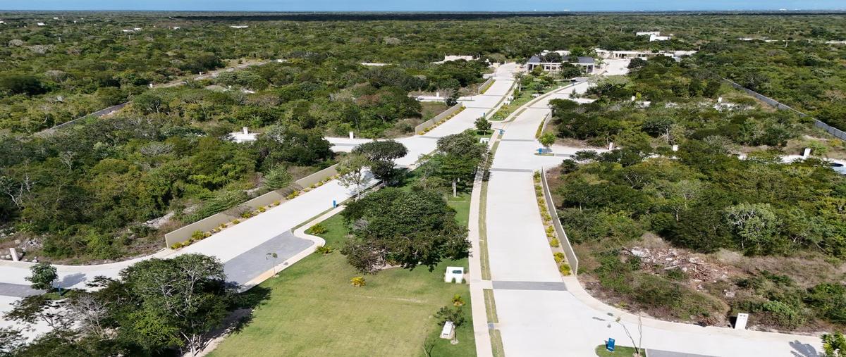 Foto de terreno habitacional en venta en  , komchén martínez, motul, yucatán, 24517722 No. 05