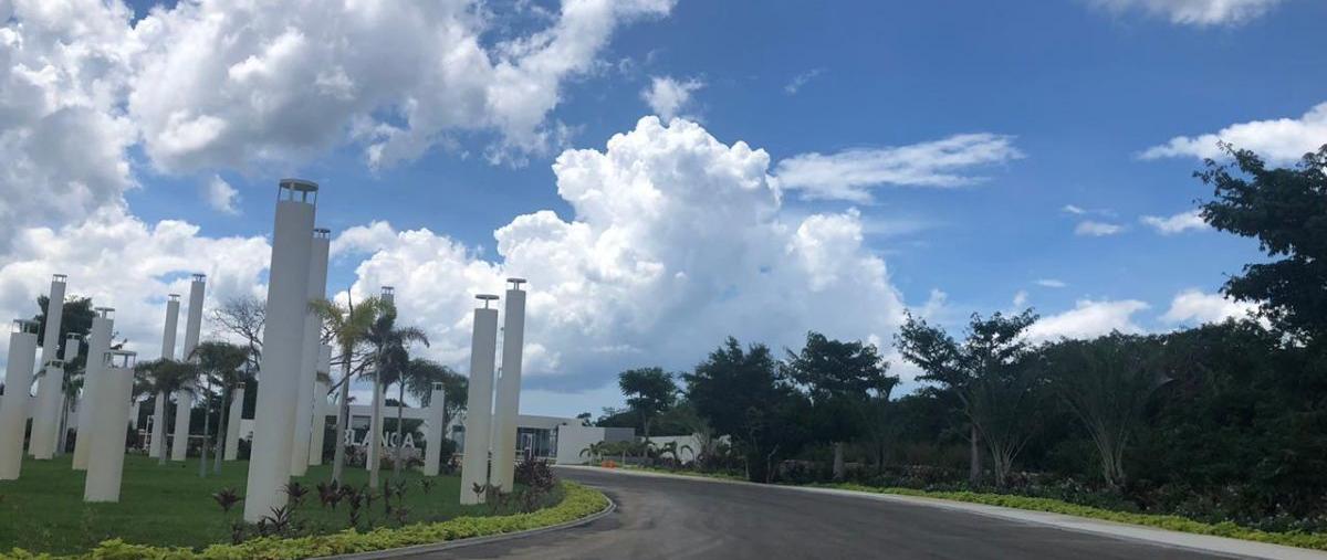 Foto de terreno habitacional en venta en  , komchen, mérida, yucatán, 13854237 No. 01
