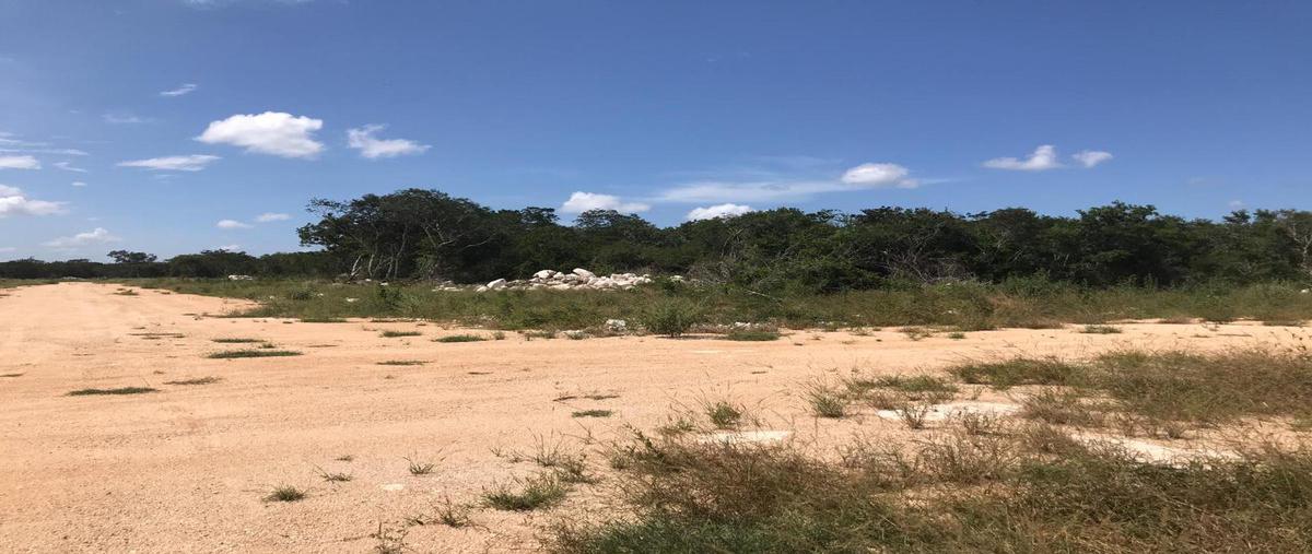 Foto de terreno habitacional en venta en  , komchen, mérida, yucatán, 20031160 No. 05