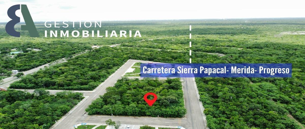 Foto de terreno habitacional en venta en  , komchen, mérida, yucatán, 25264558 No. 05