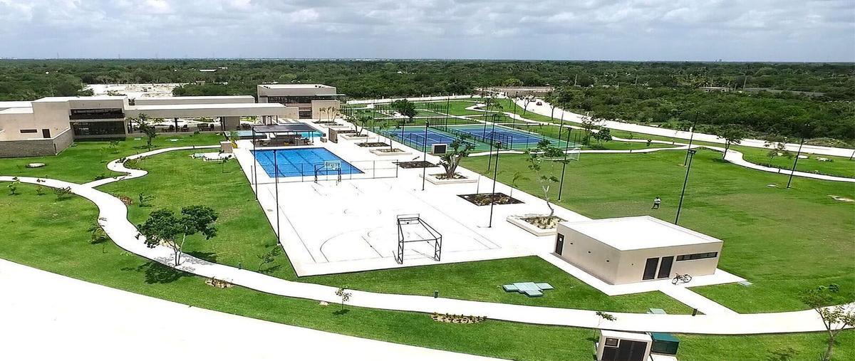 Foto de terreno habitacional en venta en  , komchen, mérida, yucatán, 25506040 No. 05