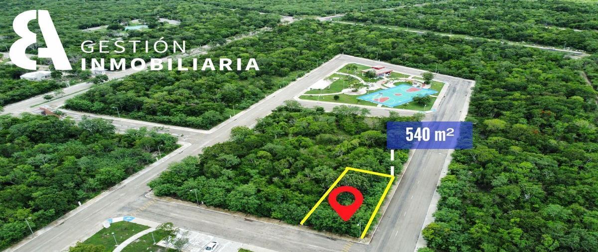 Foto de terreno habitacional en venta en  , komchen, mérida, yucatán, 25592961 No. 03