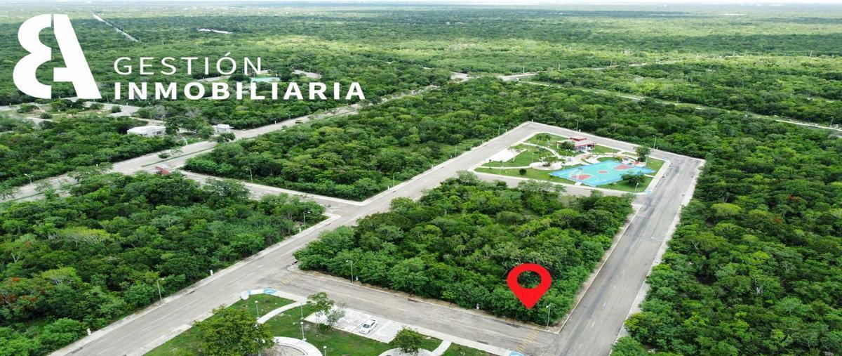 Foto de terreno habitacional en venta en  , komchen, mérida, yucatán, 25592961 No. 04