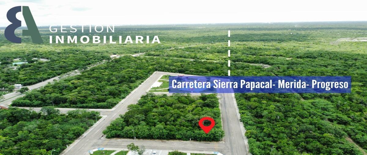 Foto de terreno habitacional en venta en  , komchen, mérida, yucatán, 25592961 No. 05