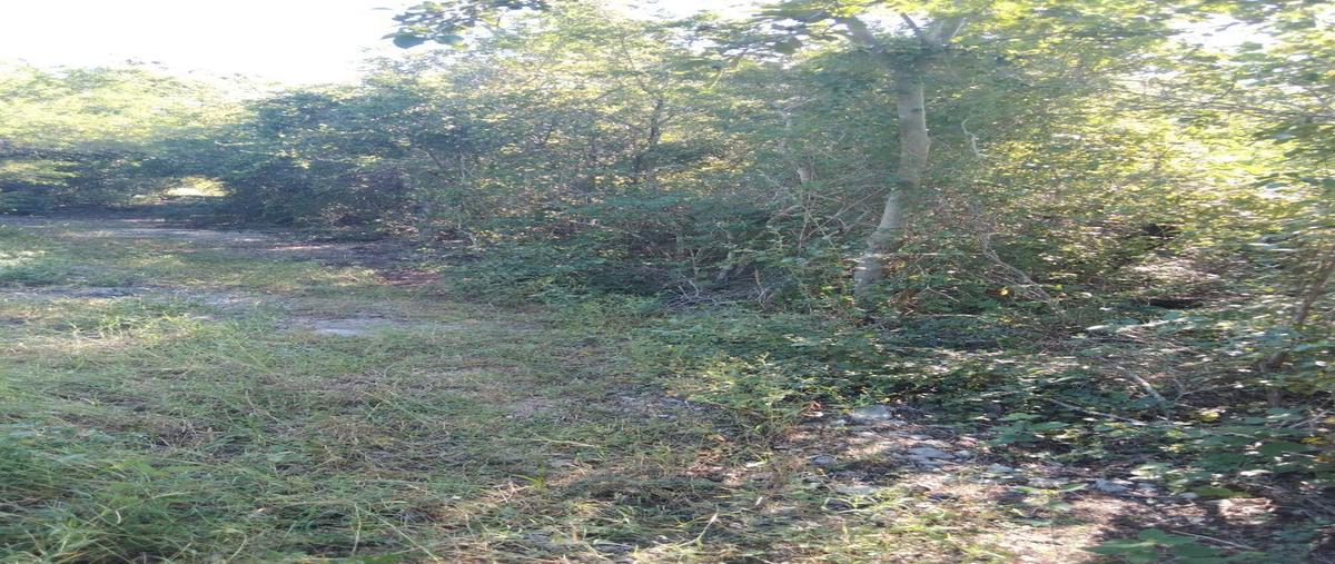 Foto de terreno habitacional en venta en  , komchen, mérida, yucatán, 27435052 No. 03