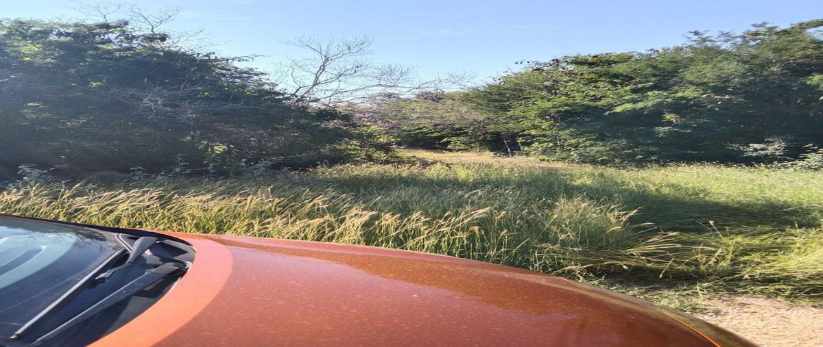 Foto de terreno habitacional en venta en  , komchen, mérida, yucatán, 27435052 No. 05