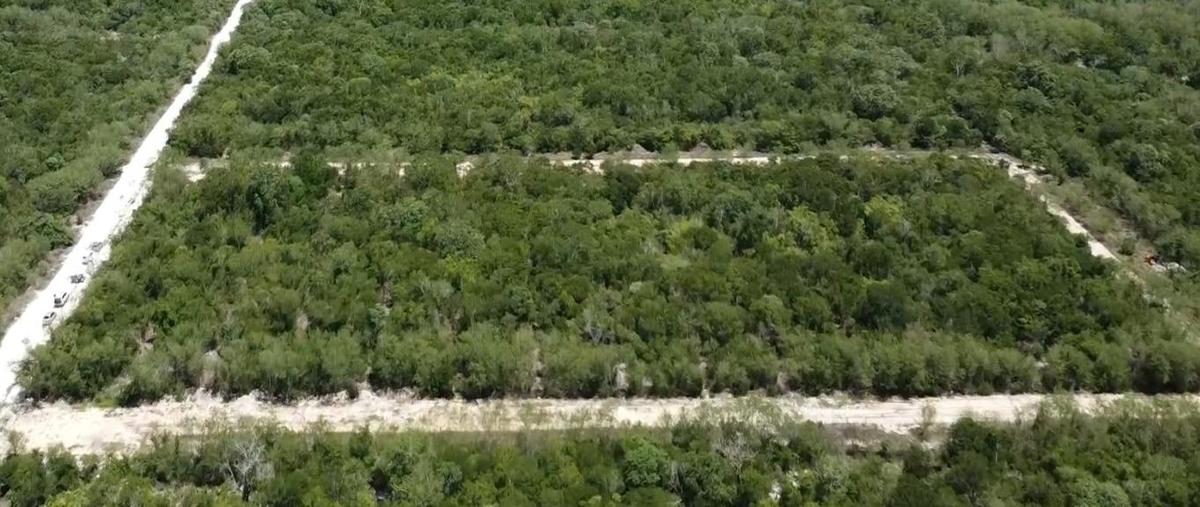 Foto de terreno habitacional en venta en  , komchen, mérida, yucatán, 27464297 No. 04