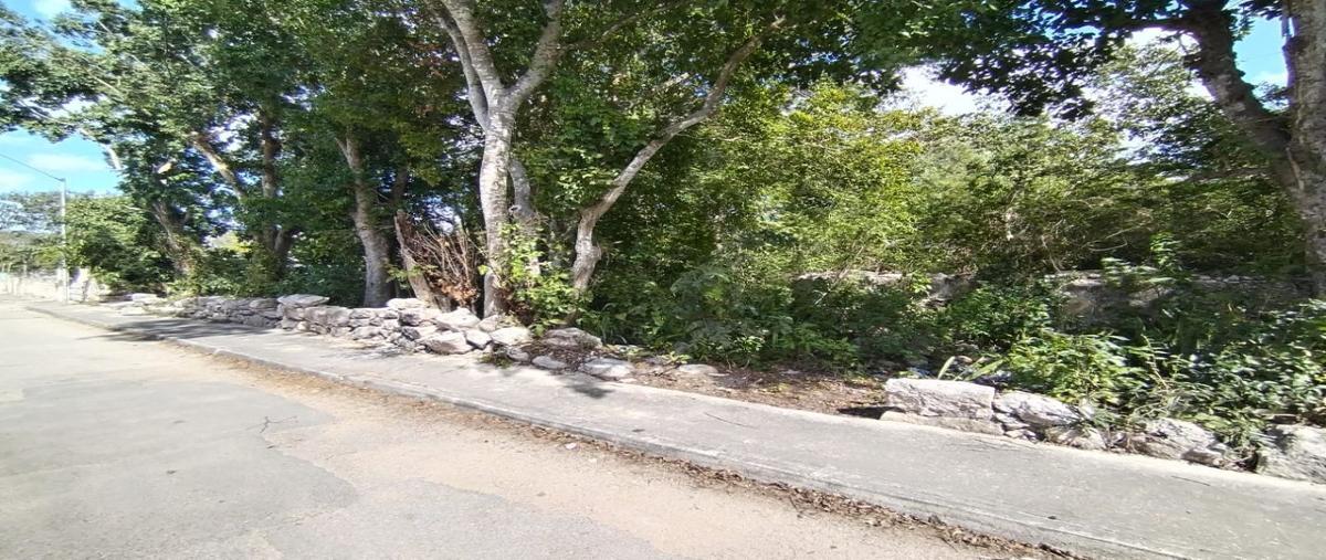 Foto de terreno habitacional en venta en  , komchen, mérida, yucatán, 27635015 No. 03