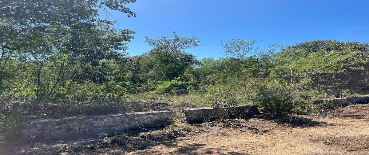 Foto de terreno habitacional en venta en  , komchen, mérida, yucatán, 27644700 No. 04
