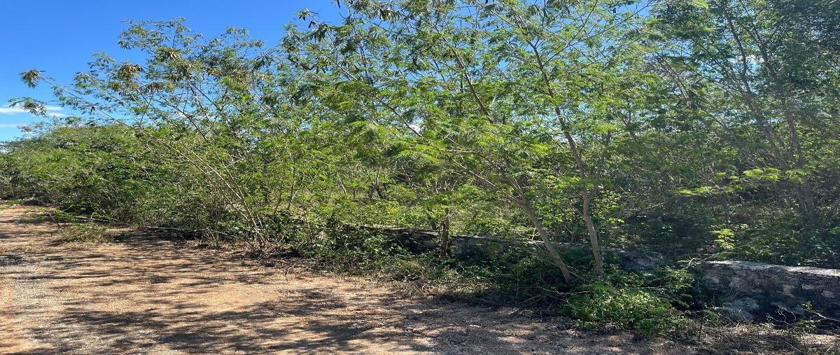 Foto de terreno habitacional en venta en  , komchen, mérida, yucatán, 27644700 No. 05