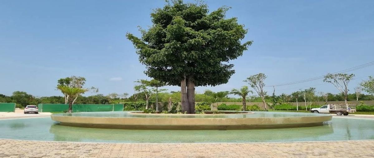 Foto de terreno habitacional en . , komchen, mérida, yucatán, 27683824 foto 05 Foto de terreno habitacional en venta en . , komchen, mérida, yucatán, 27683824 No. 05
