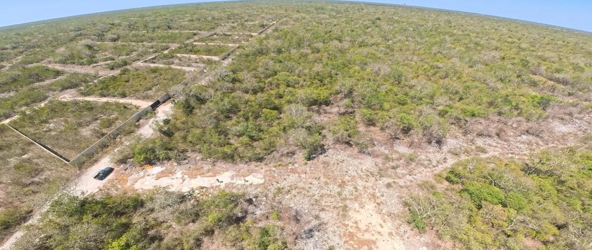 Foto de terreno habitacional en venta en  , komchen, mérida, yucatán, 27833592 No. 05