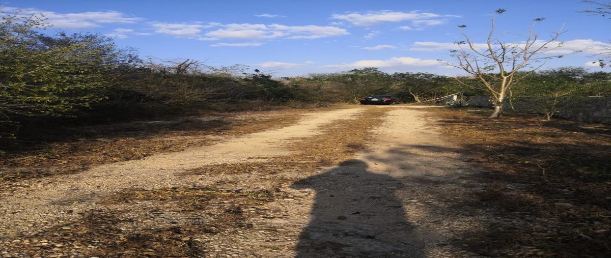 Foto de terreno habitacional en venta en  , komchen, mérida, yucatán, 27883024 No. 03